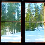 Skogsro Forest