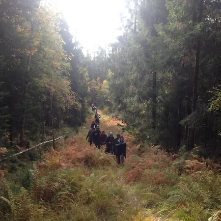 Skogsro Forest Hostel Steinsholt