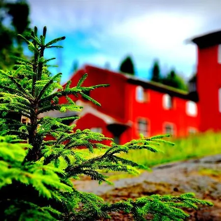Skogsro Forest *