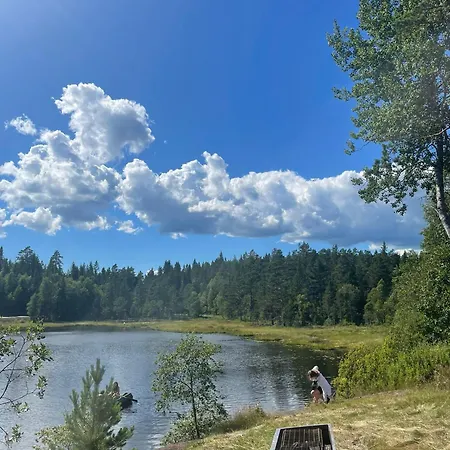 Skogsro Forest