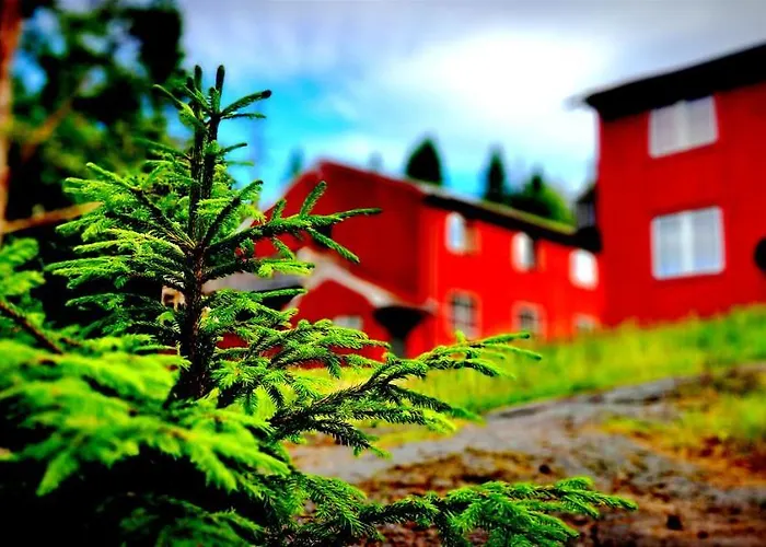 Skogsro Forest *