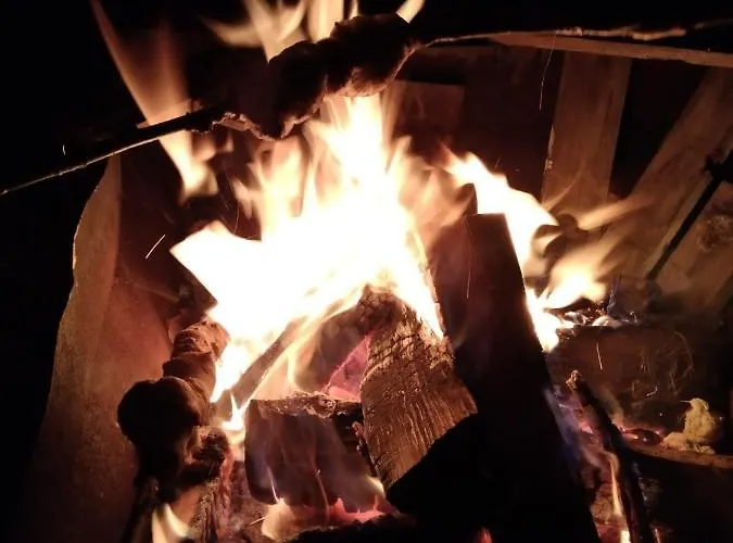 Skogsro Forest Vandrarhem Steinsholt
