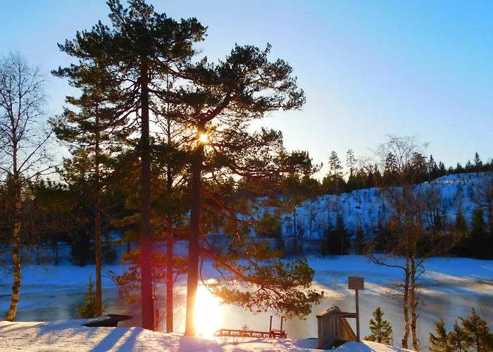 Skogsro Forest Hostel