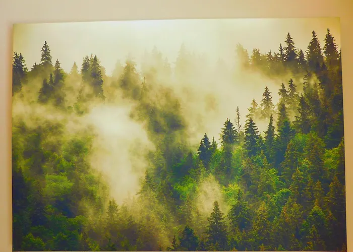 Skogsro Forest