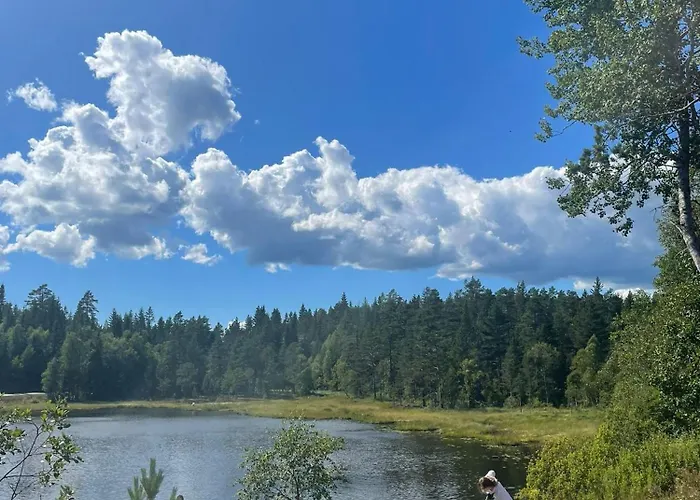 Skogsro Forest