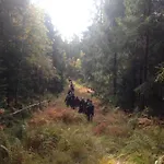 Skogsro Forest Hostel Steinsholt