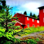 Skogsro Forest *