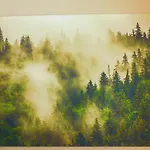 Skogsro Forest
