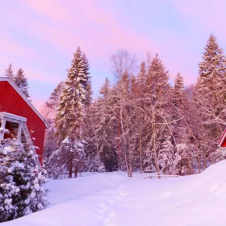 Skogsro Forest Hostel Steinsholt
