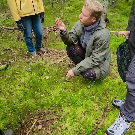 Skogsro Forest Vandrerhjem
