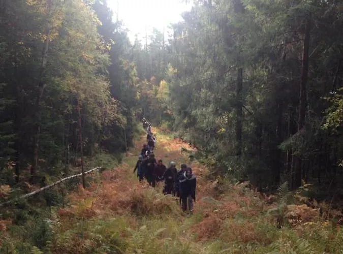 Skogsro Forest Hostel Steinsholt