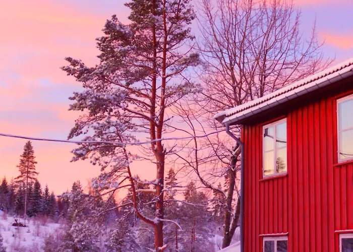 Skogsro Forest Hostel Steinsholt