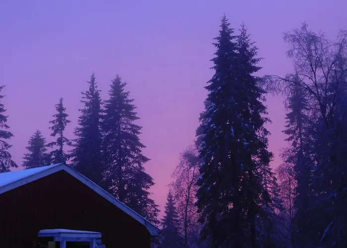 Hostel Skogsro Forest Steinsholt