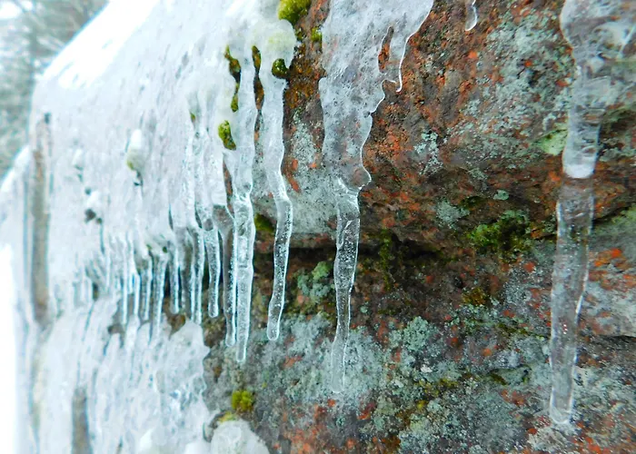 Skogsro Forest Hostel