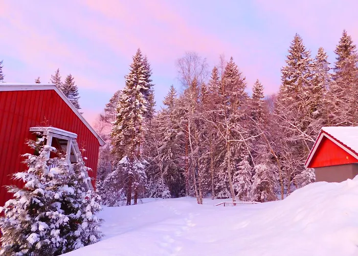 Skogsro Forest Hostel Steinsholt