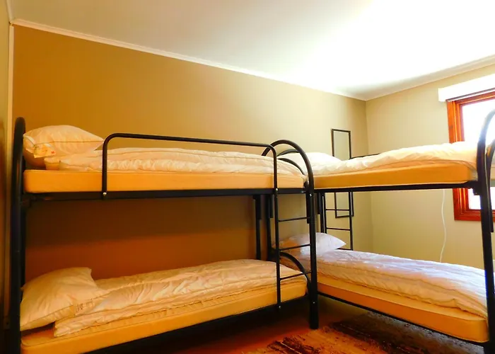 Skogsro Forest Steinsholt