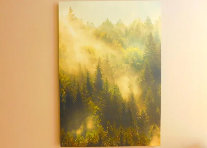 Skogsro Forest Hostel